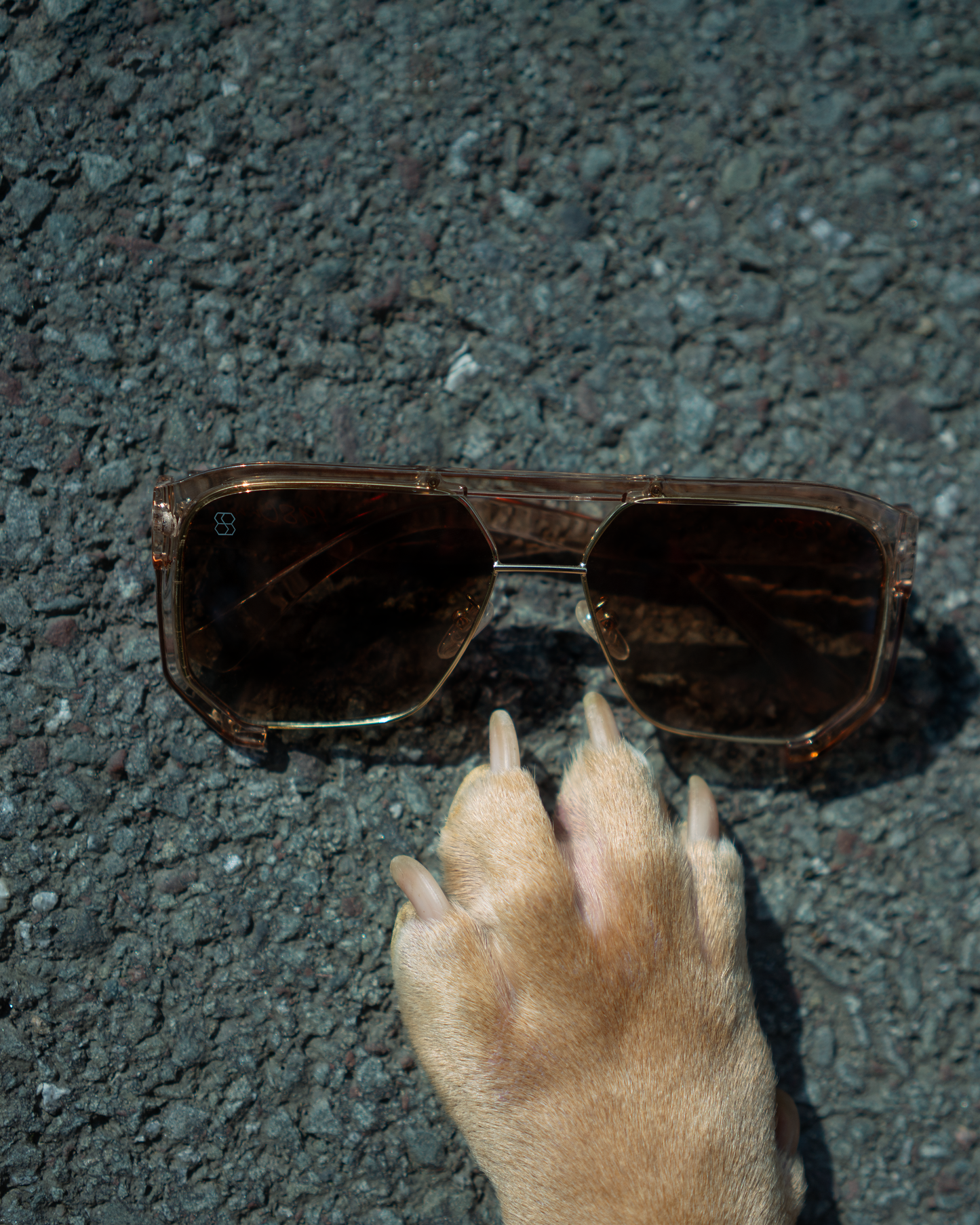 1980nine Sunglasses on a textured surface with a paw reaching towards them