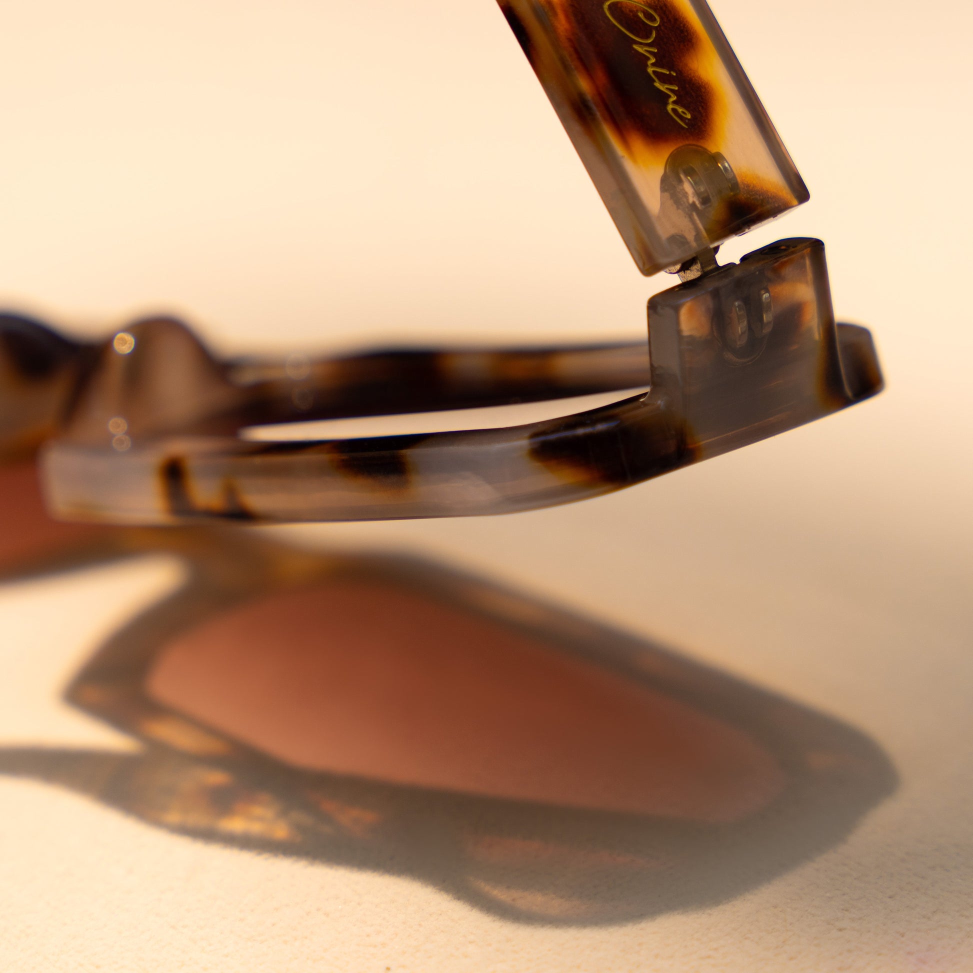 Close-up of a tortoiseshell sunglasses on a light background
